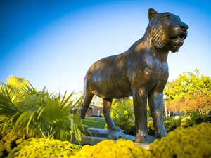 Bronze tiger statue surrounded by gold mums and fall foliage