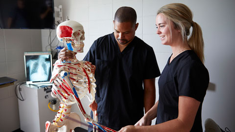 Radiography students looking at scan with skeleton model