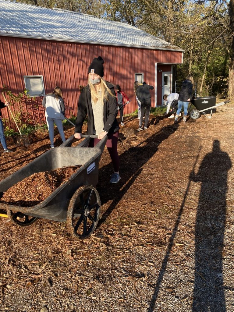 Student is shown pushing a wheelbarrow full of mulch outside a shed building