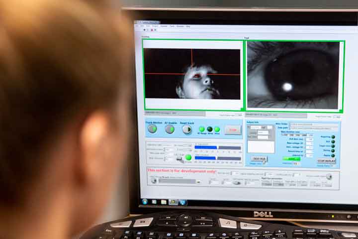a researcher evaluates images on a computer screen