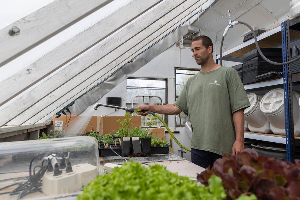 A man in a T-shirt waters plants in a greenhouse.