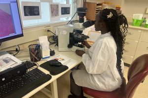 A young woman looks into a microscope at a lab bench