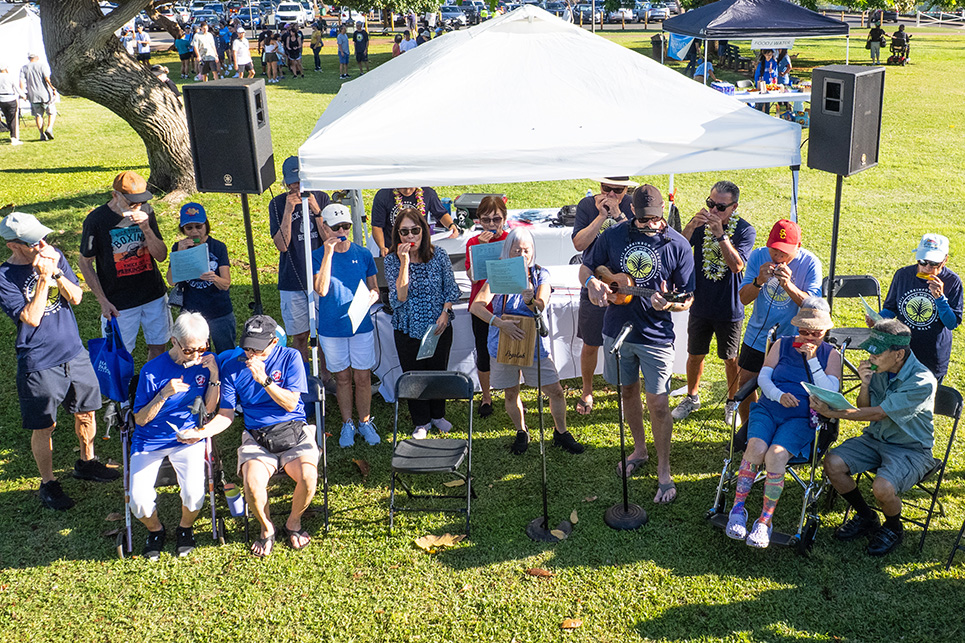A group of people play harmonicas in a park
