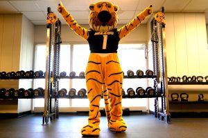 Truman the Tiger